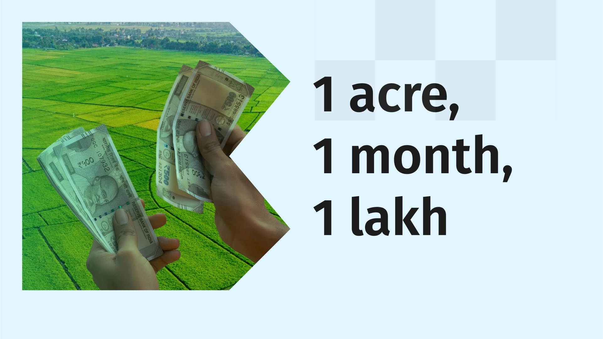 How to earn 1 lakhs in 1 month from Agri-land