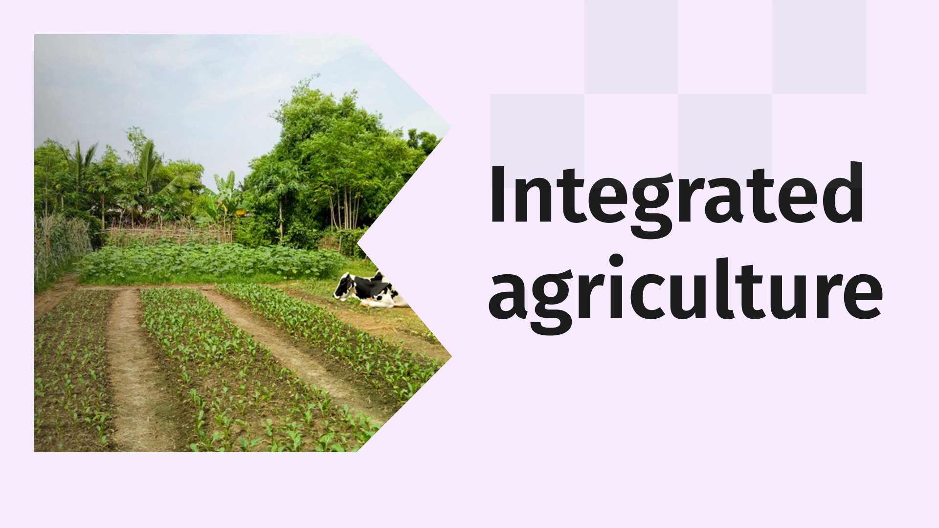 How to do Integrated Farming in India