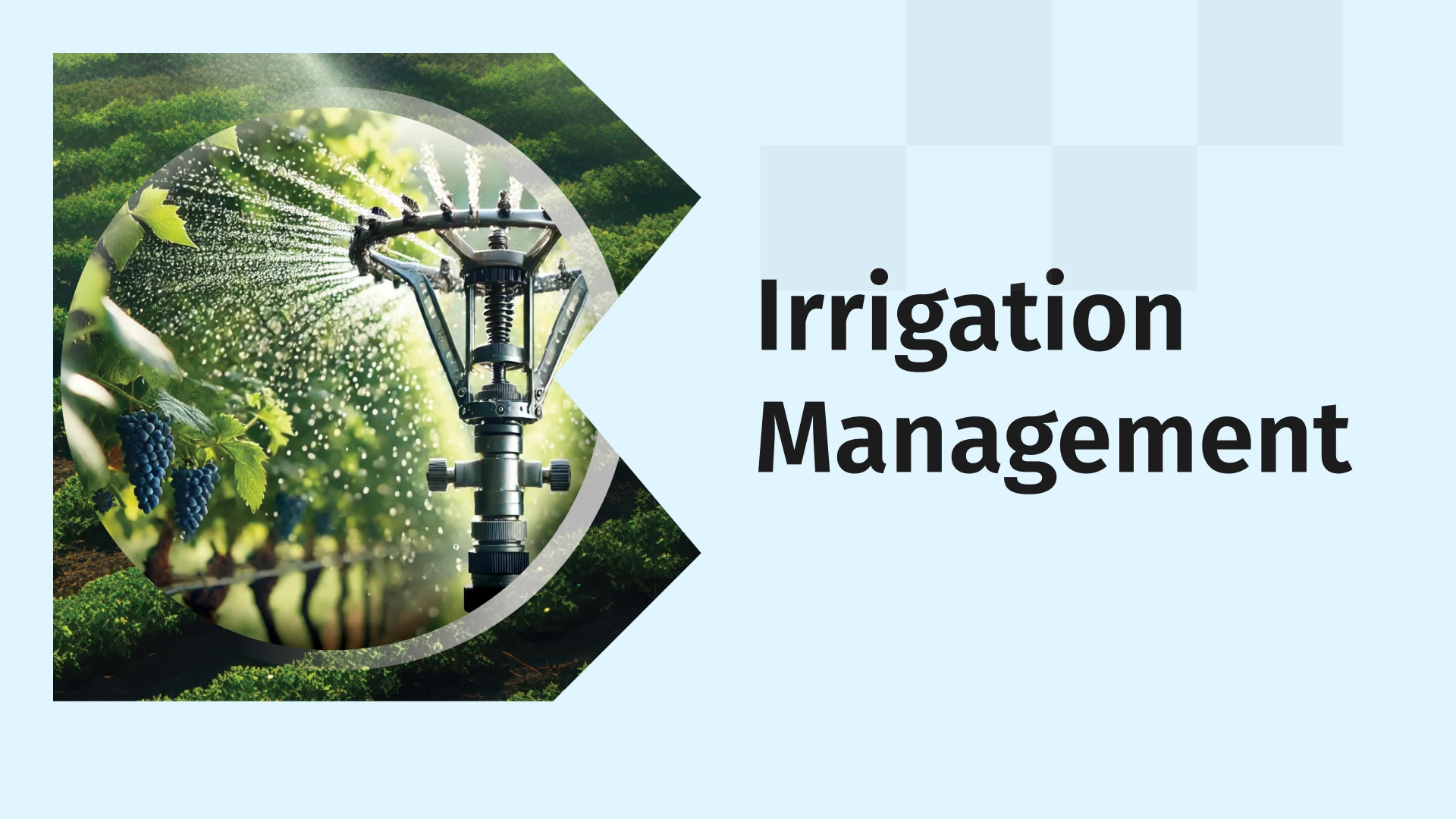 Irrigation course video