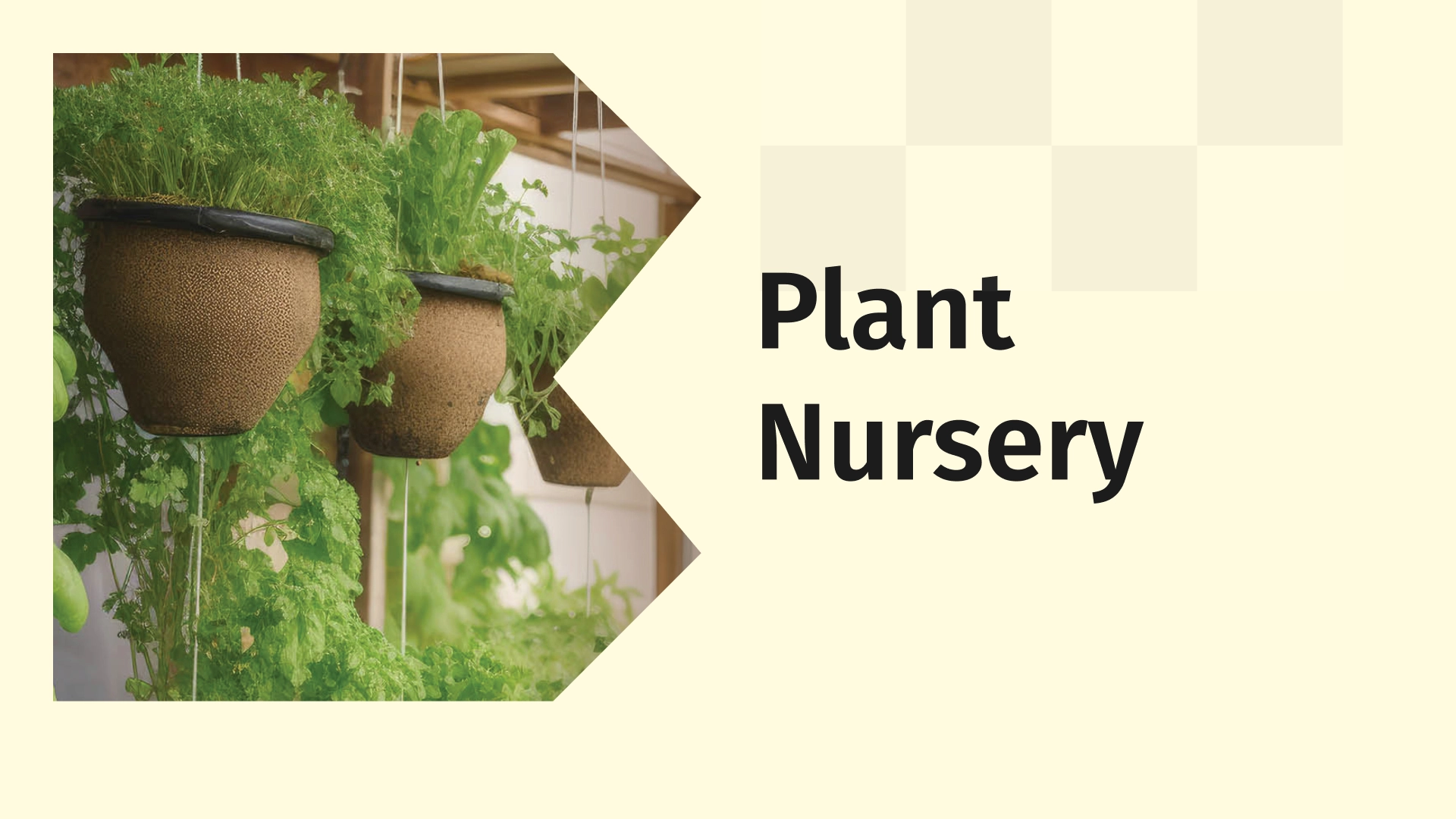 Plant nursery business video