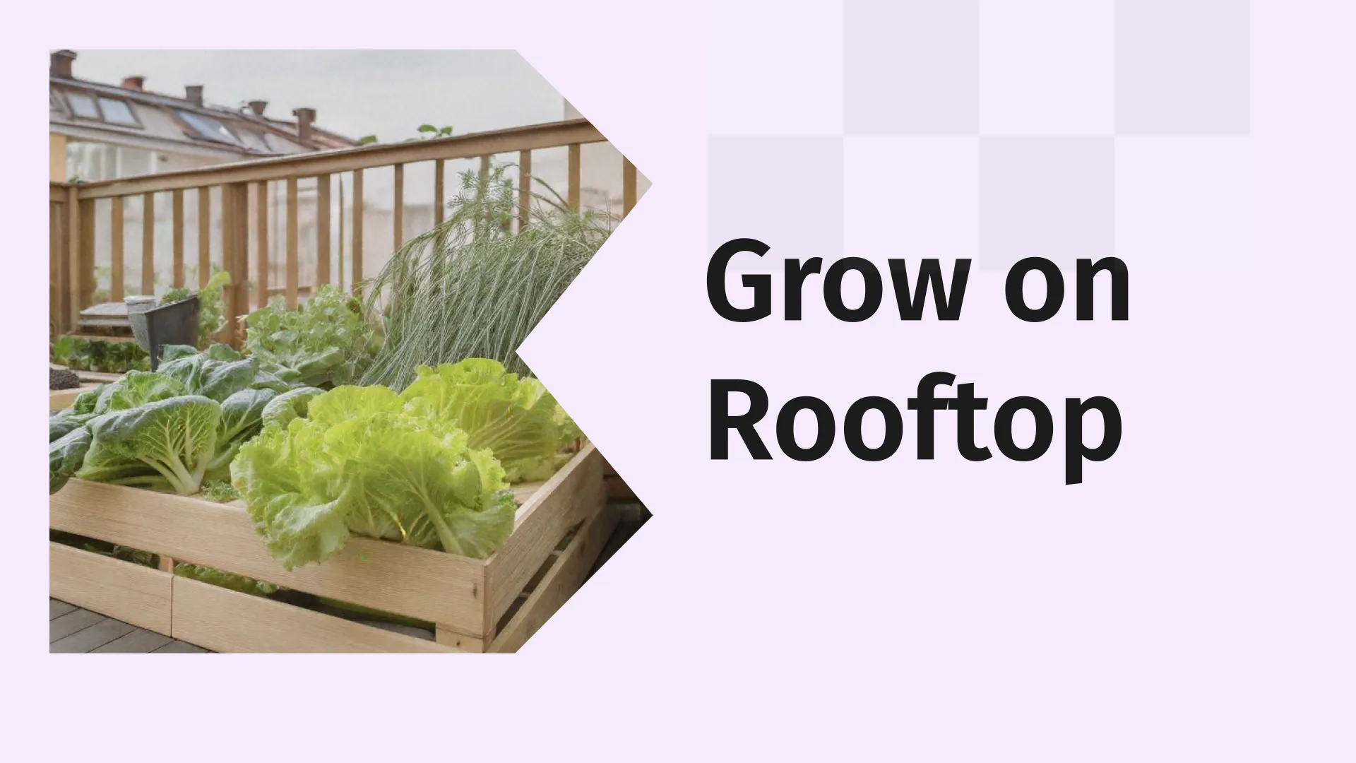 Terrace Garden Course Video