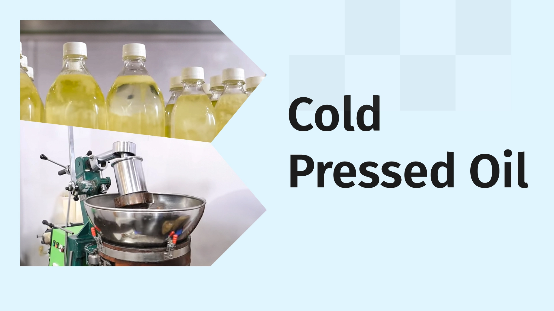 Where can i learn Edible Oil Business Course in In