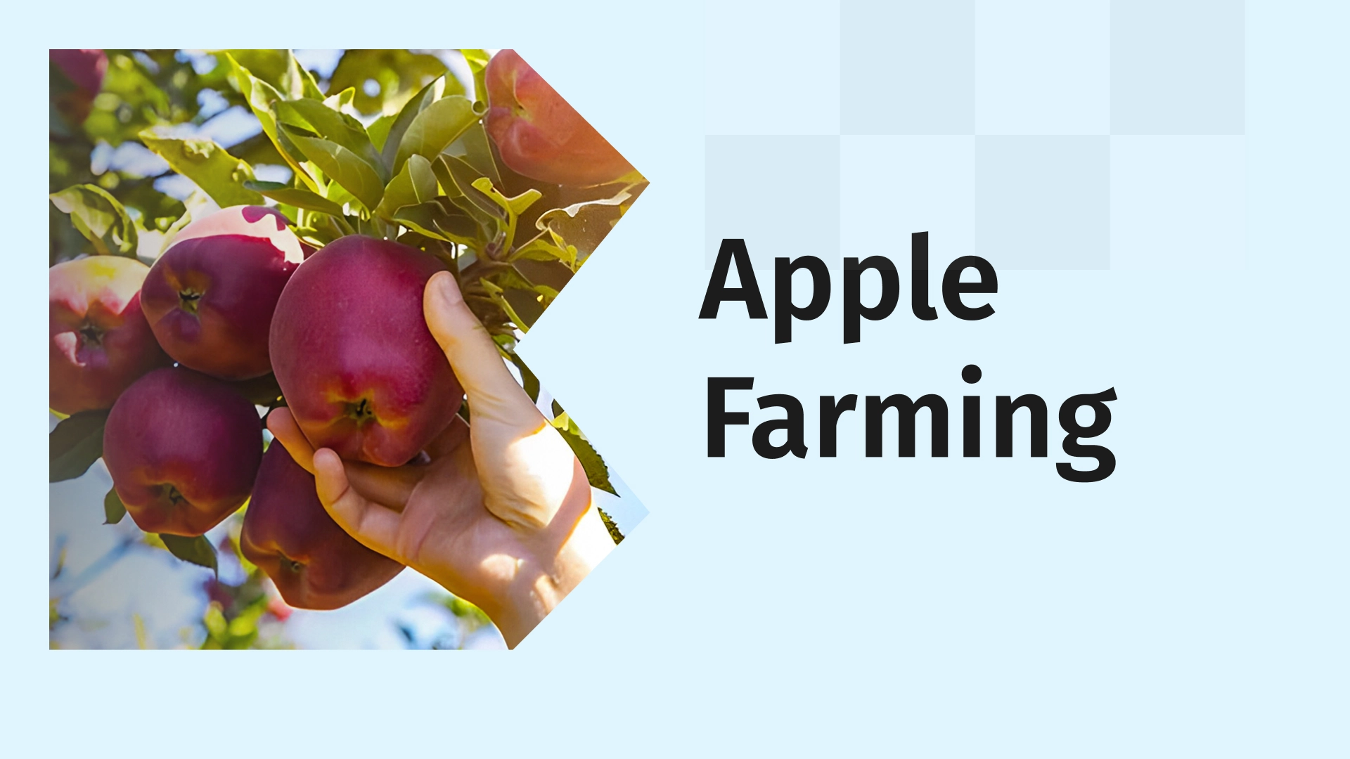 Course Video on Apple Farming