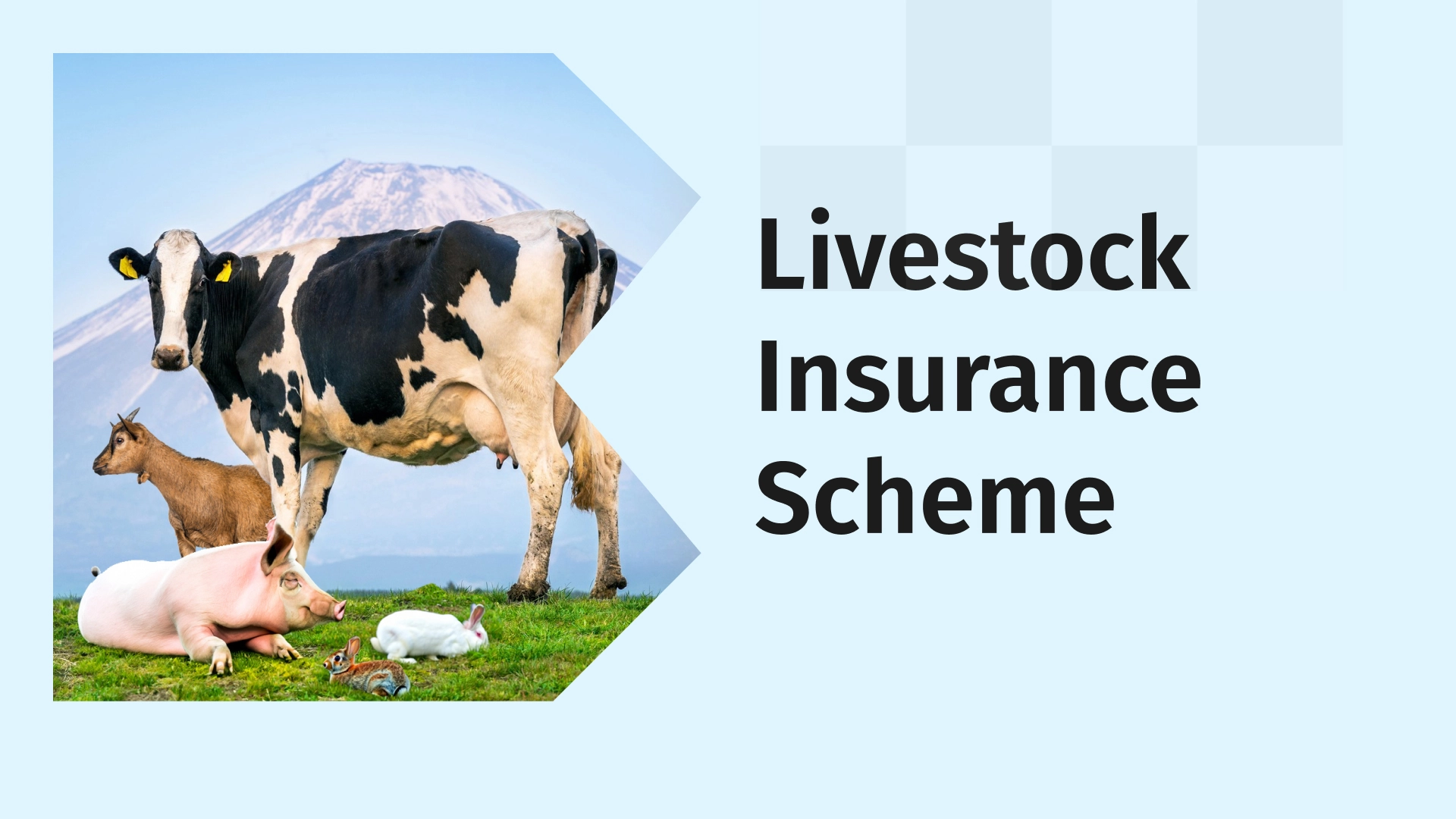 Livestock Insurance Scheme Course Video