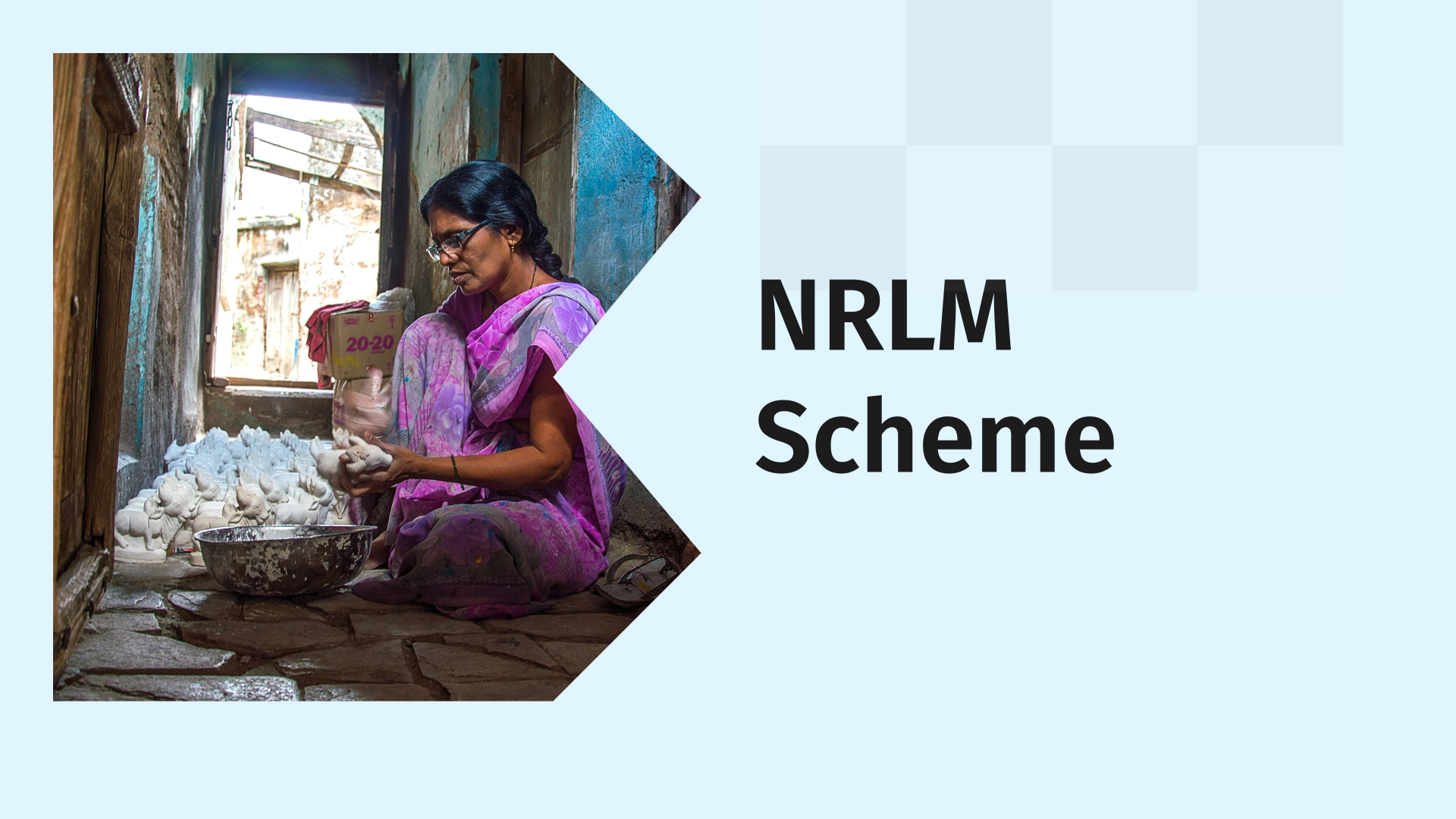 NRLM Scheme by the Government Course Video