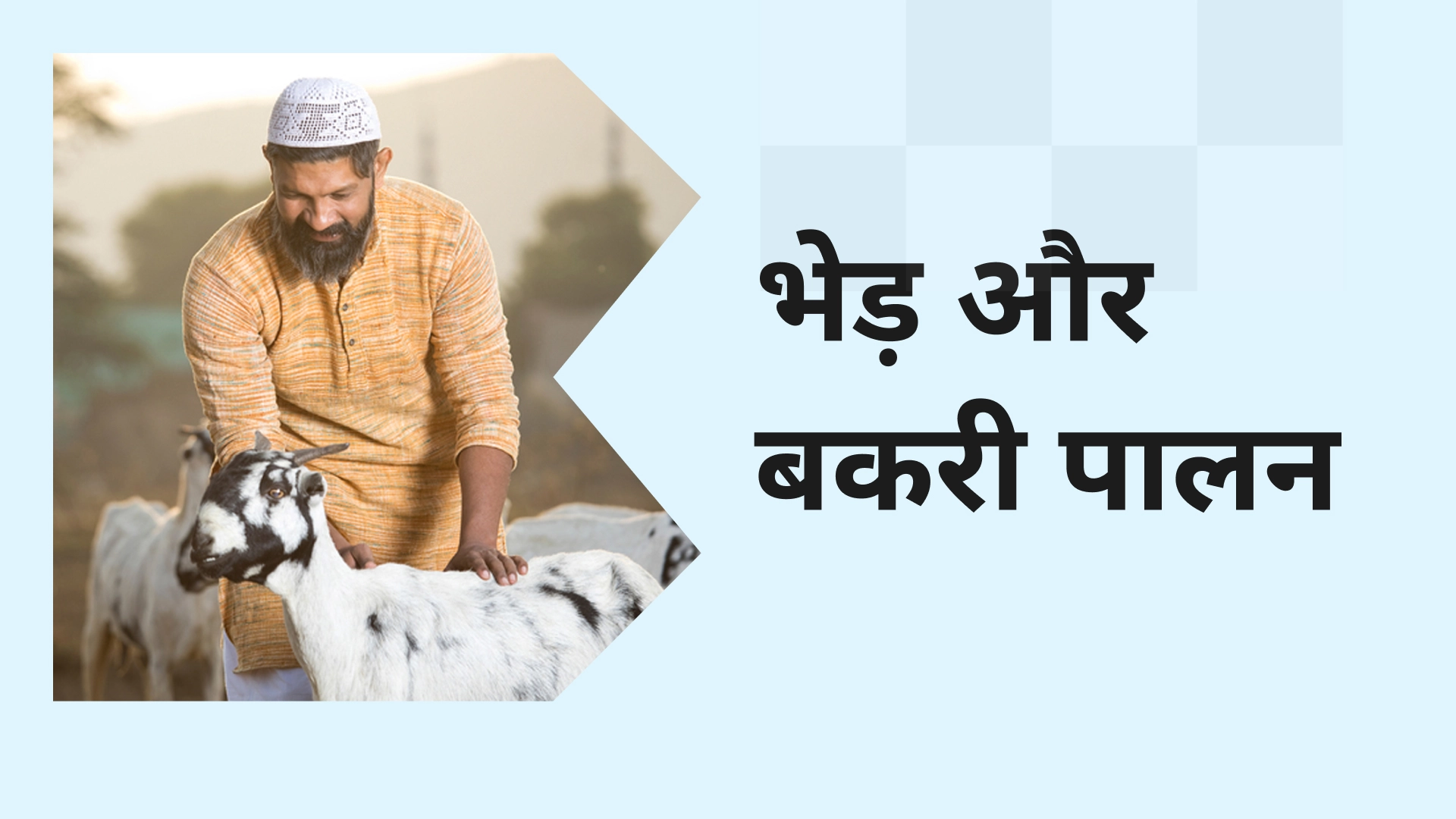 Best Sheep & Goat Farming Course Online