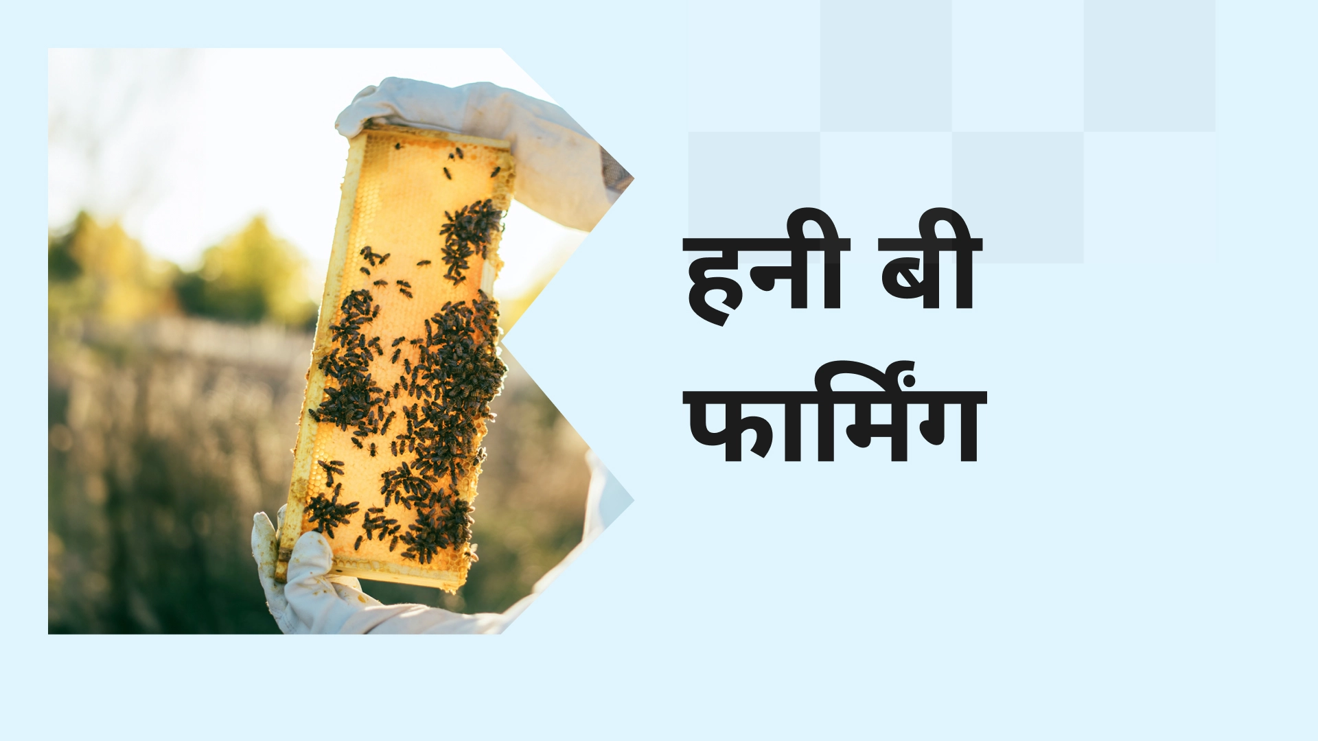 Honey bee farming course video