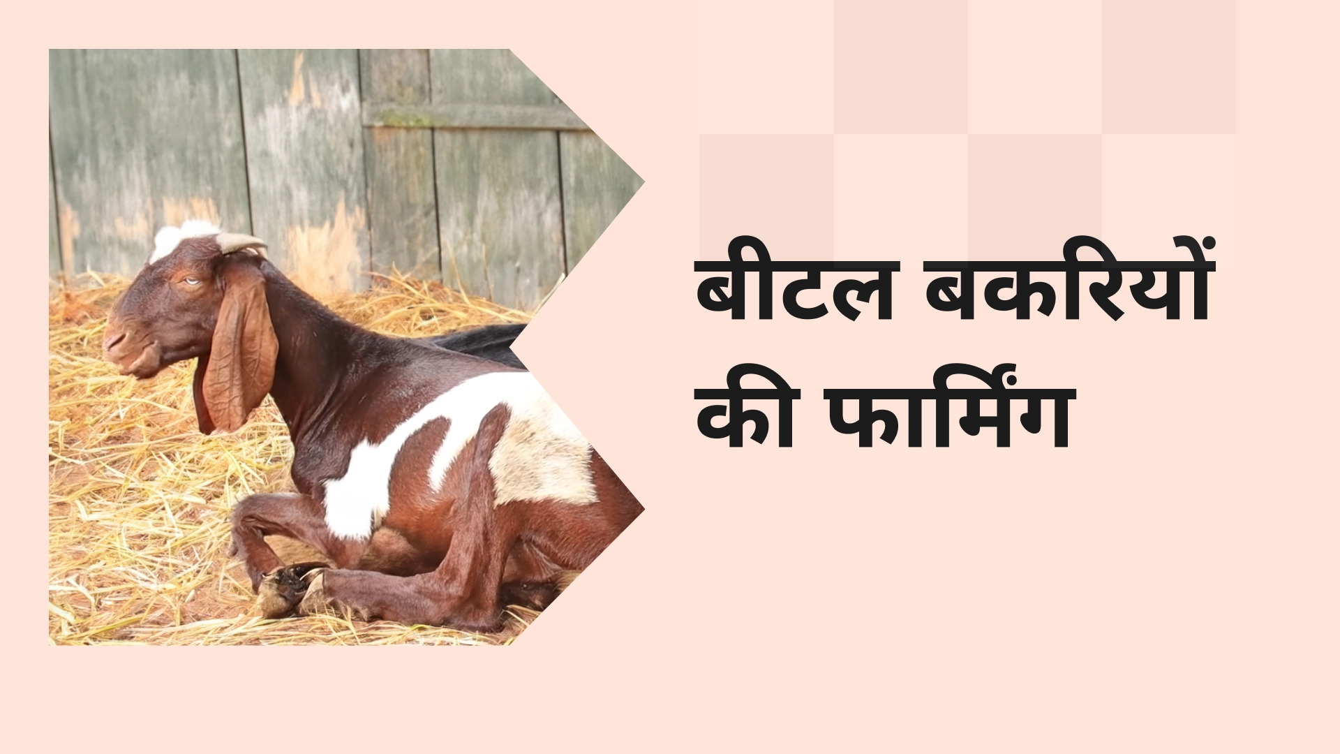 Course on Vistara Farms 