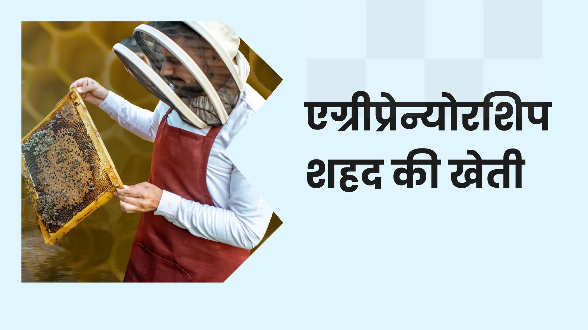 Honey Bee Farming Course Video
