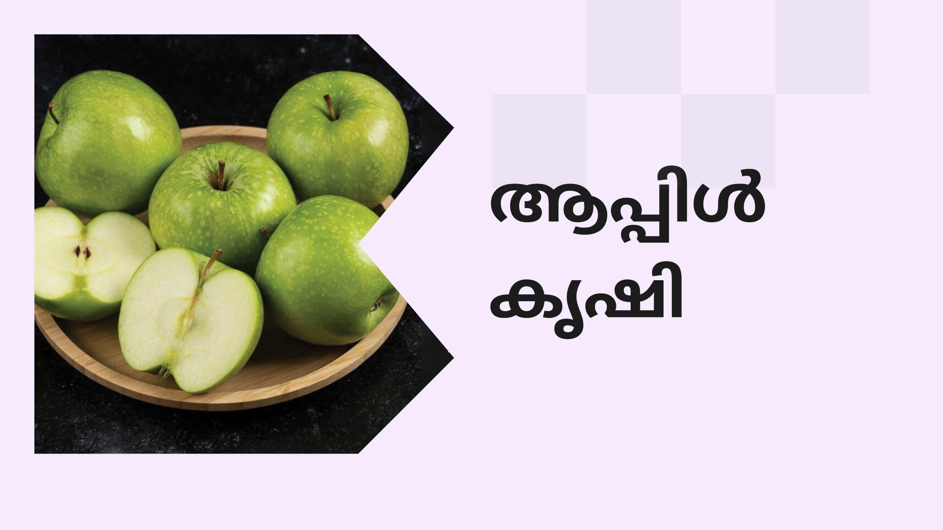 Apple Farming Course: Earn ?6 Lakhs per Acre video