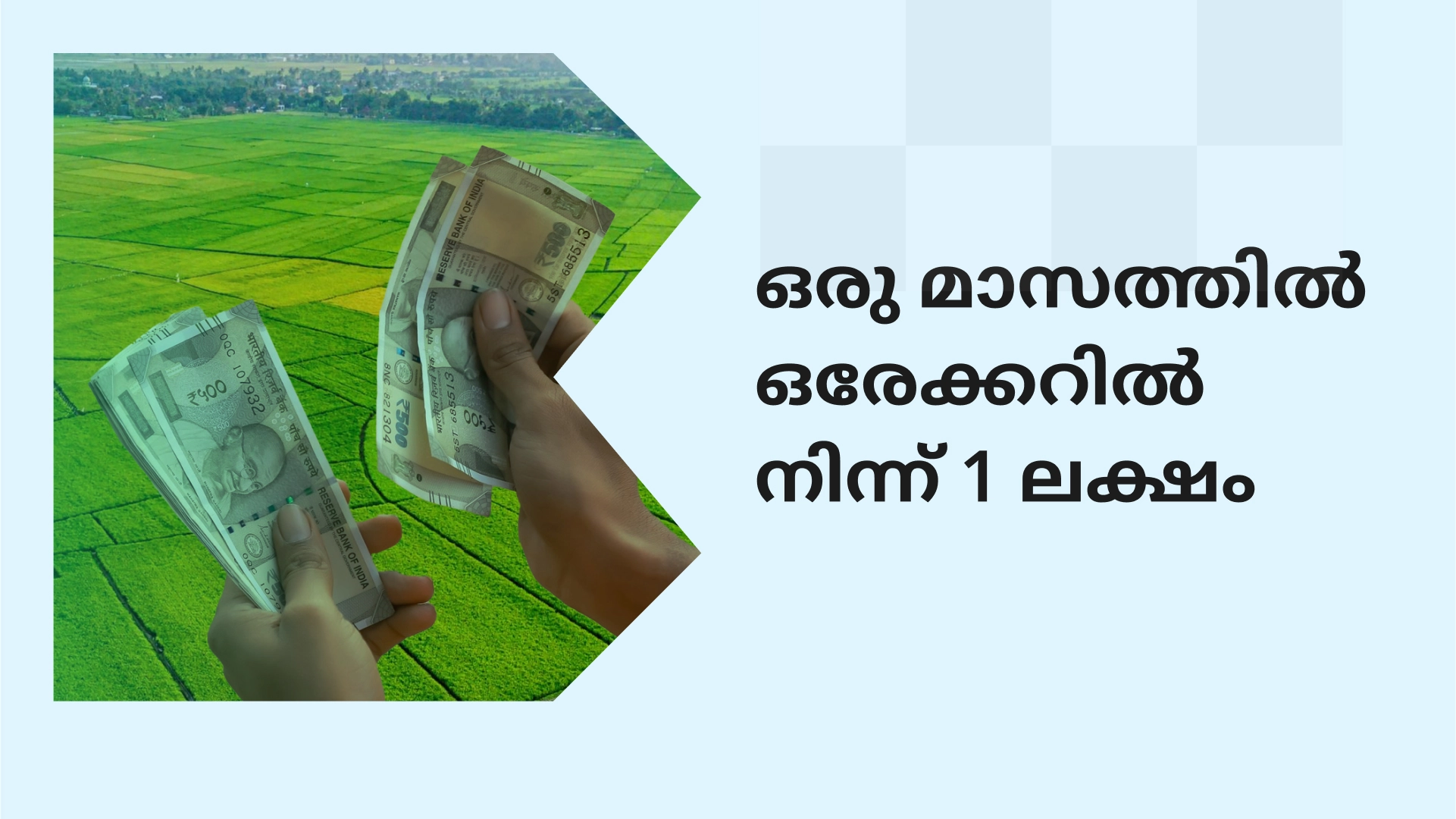How to earn 1 lakhs in 1 month from Agri-land