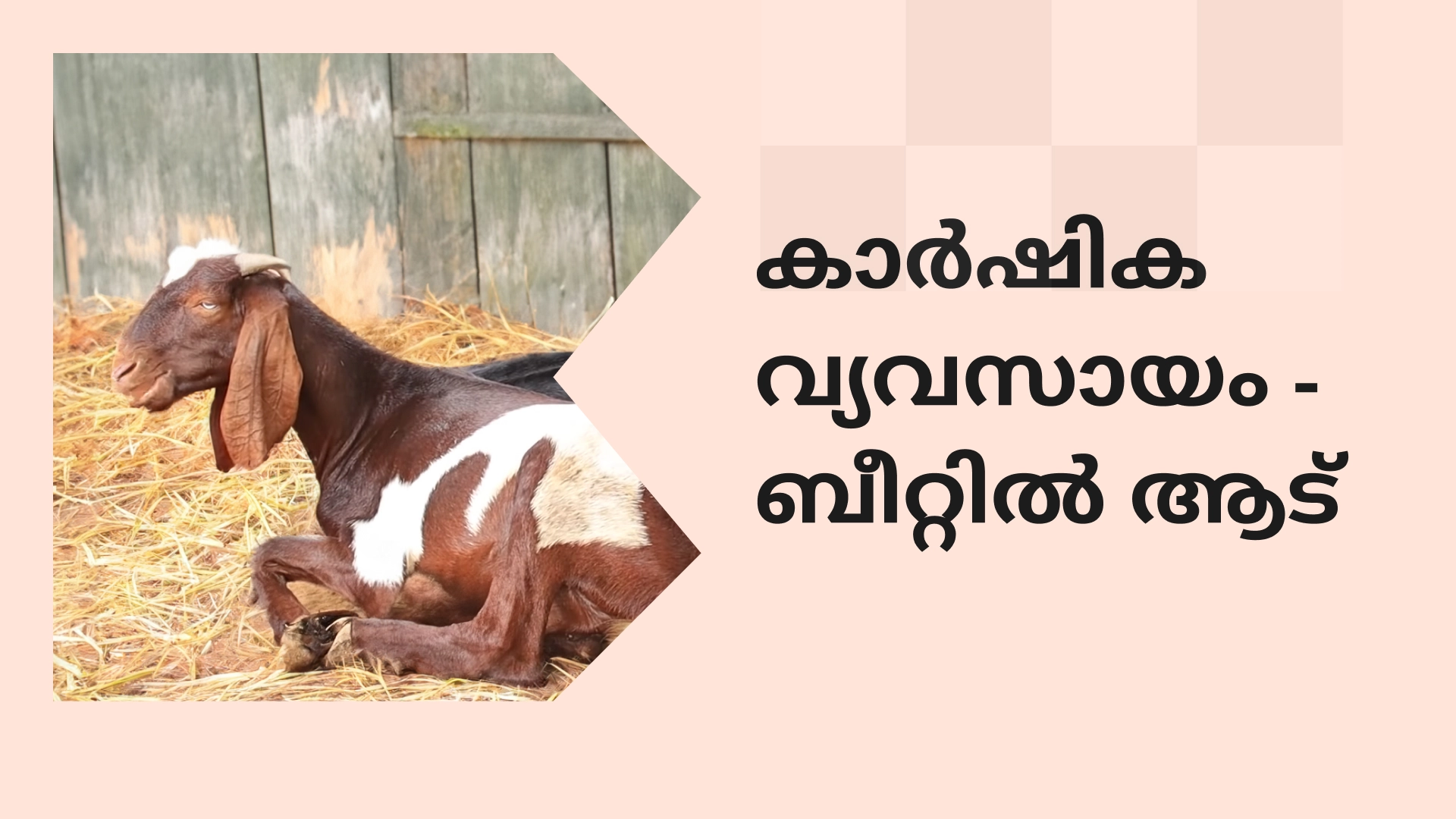 Course on Vistara Farms 