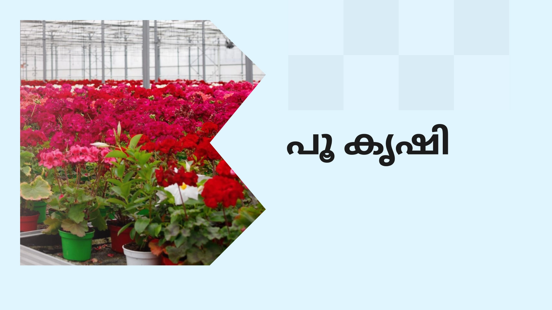 What Is Floriculture?