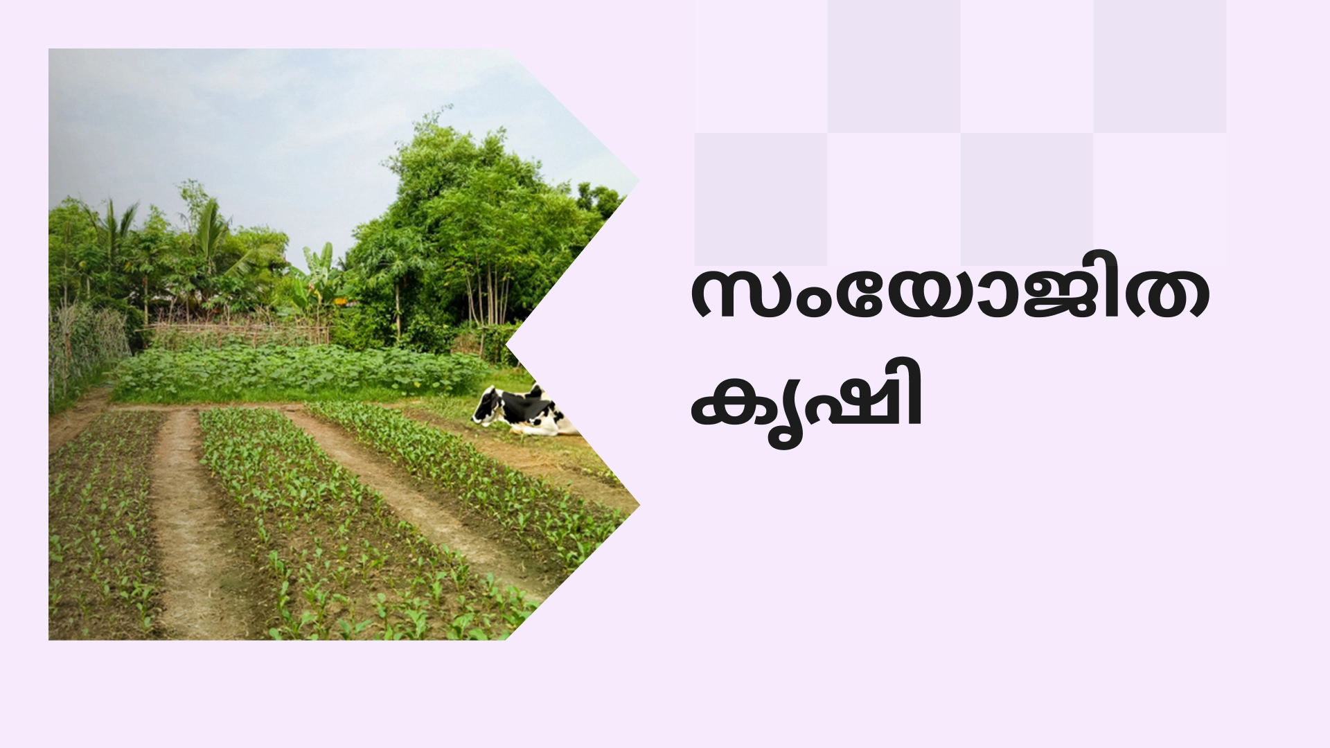 How to do Integrated Farming in India