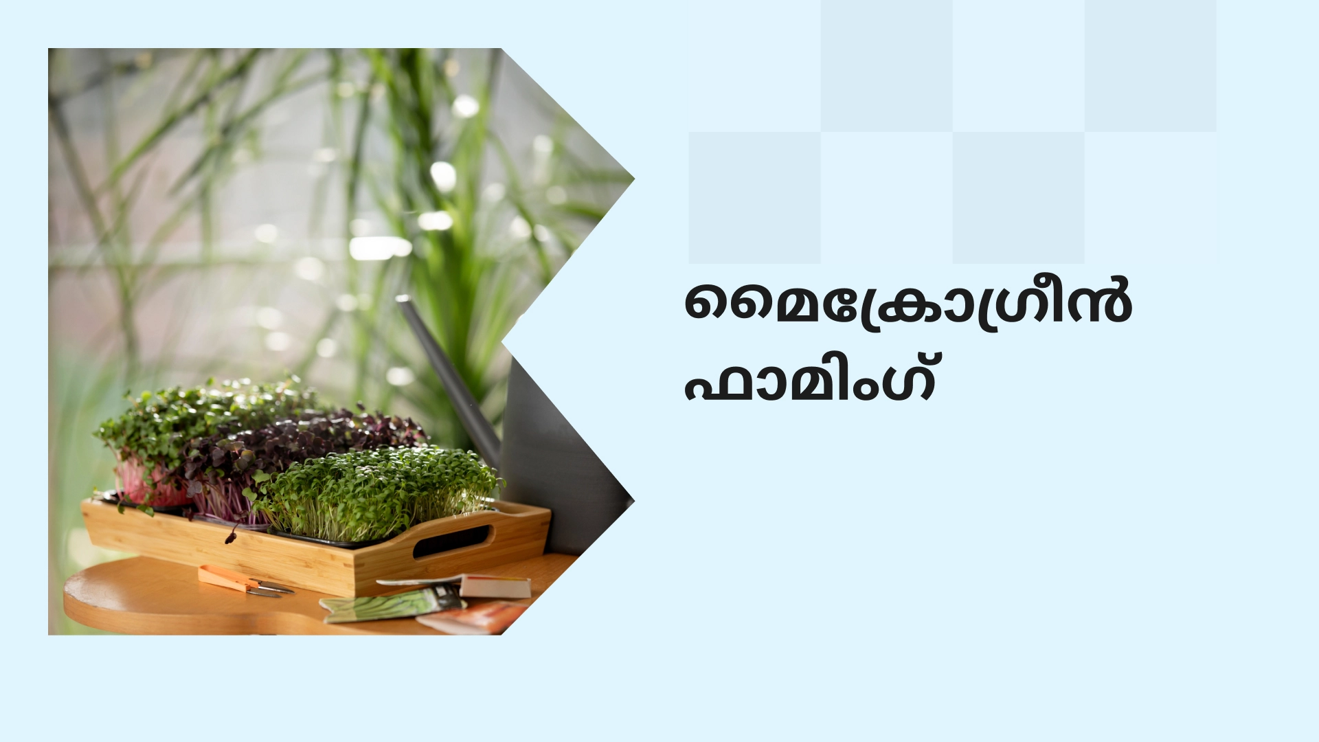 Microgreen Farming Course Video