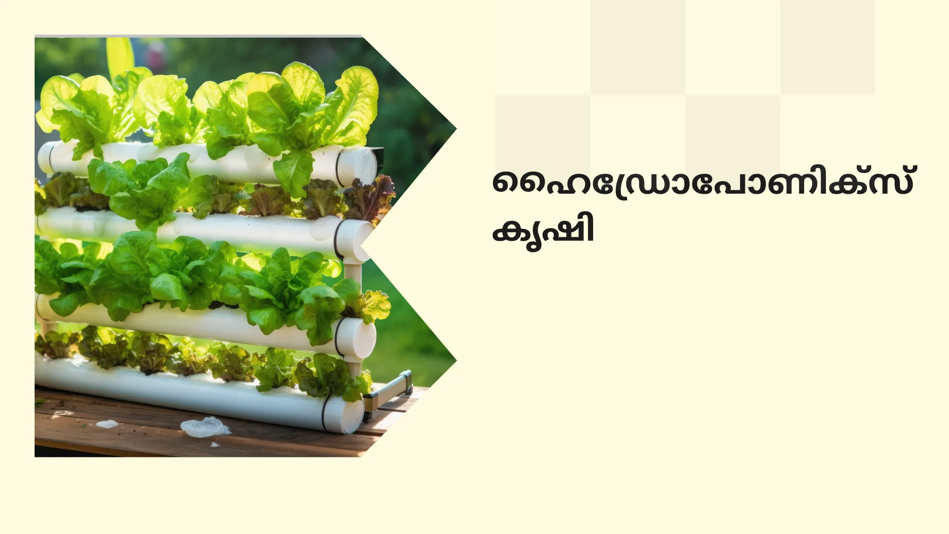 Hydroponics Farming Course Video