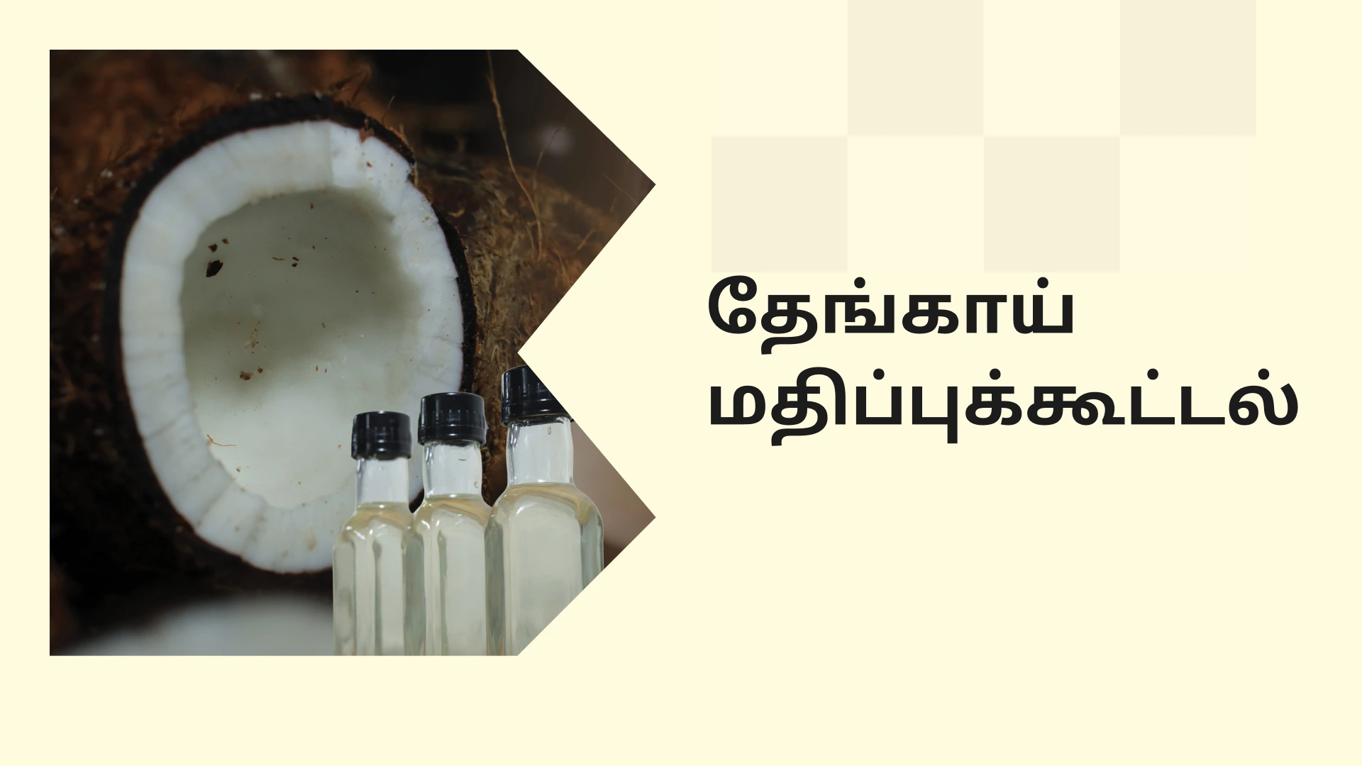 Coconut value addition course video