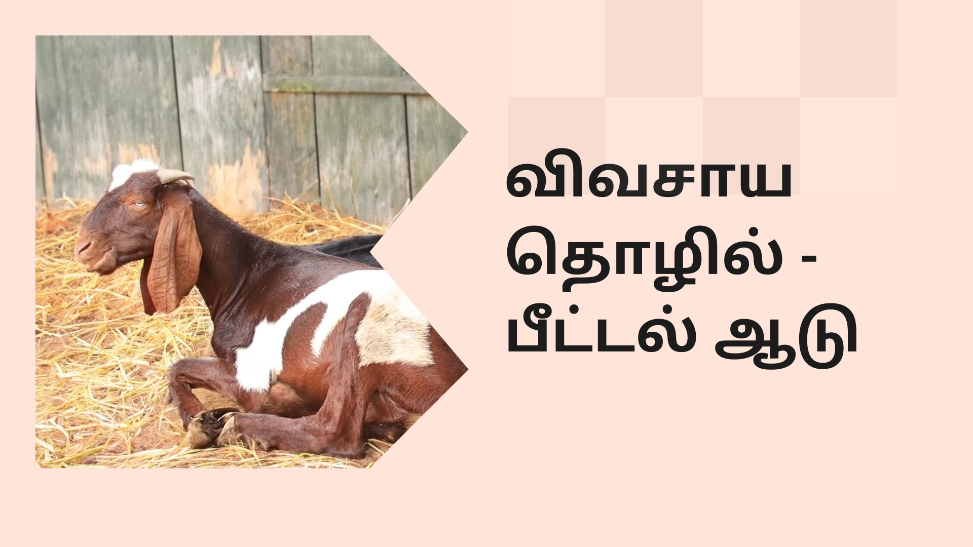 Course on Vistara Farms 