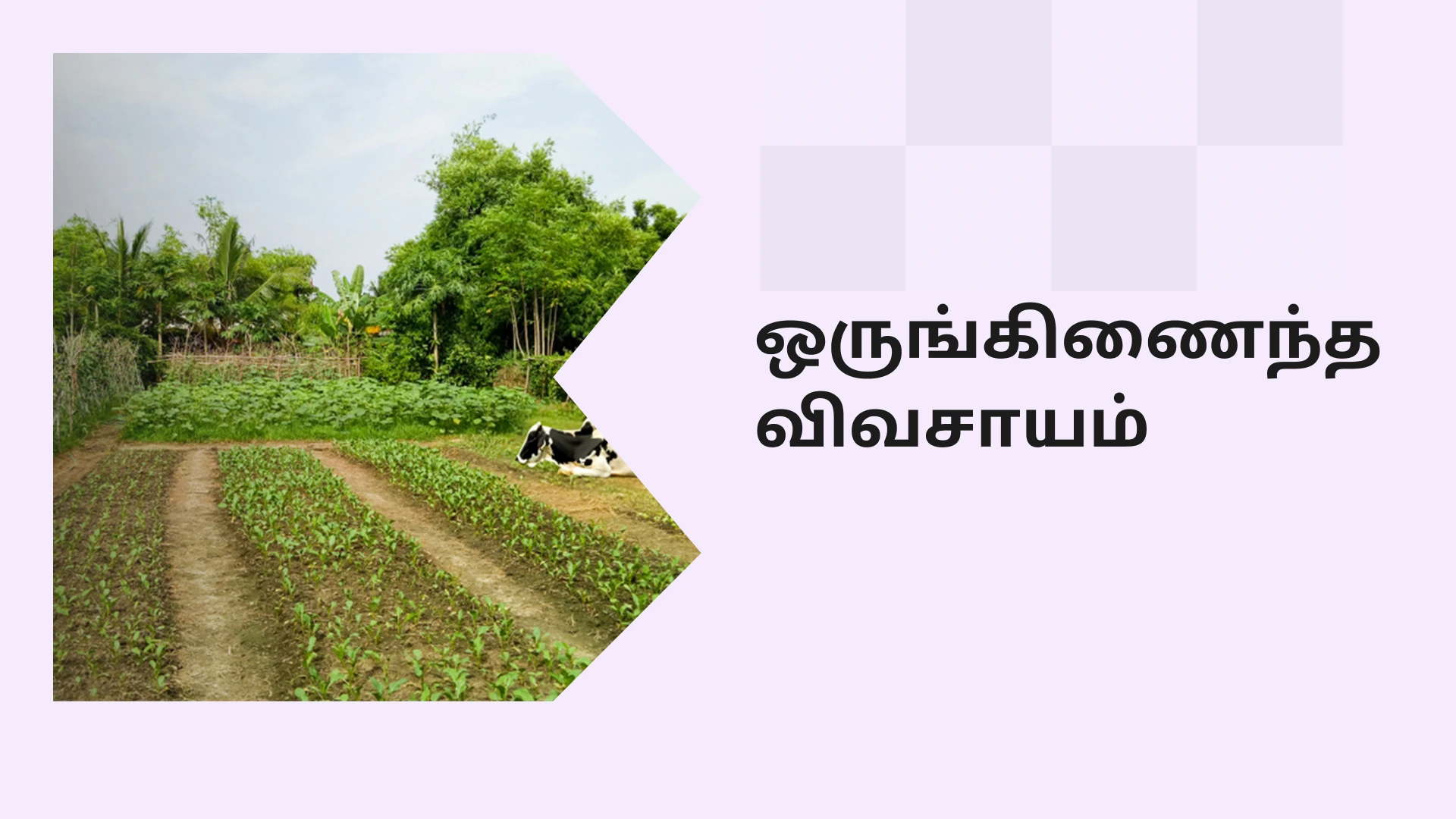 How to do Integrated Farming in India