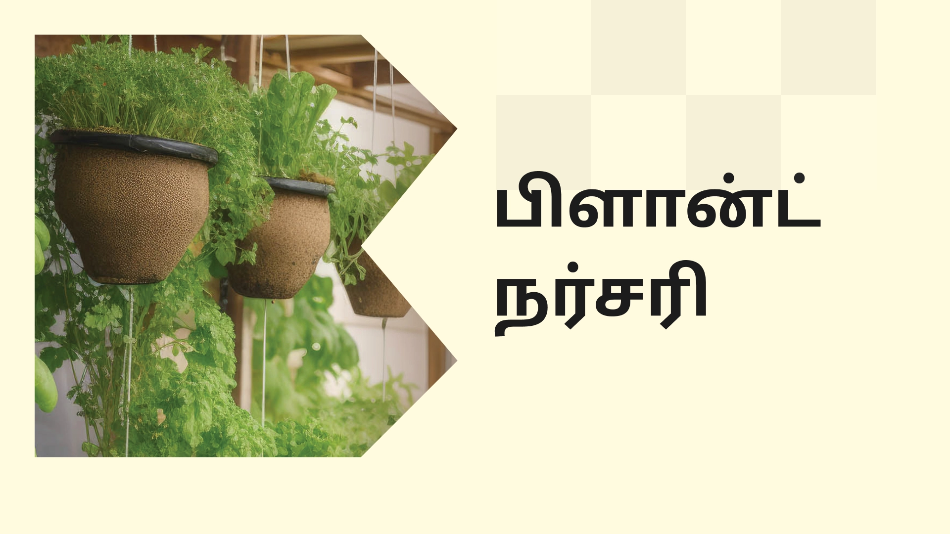 Plant Nursery Business Course Video