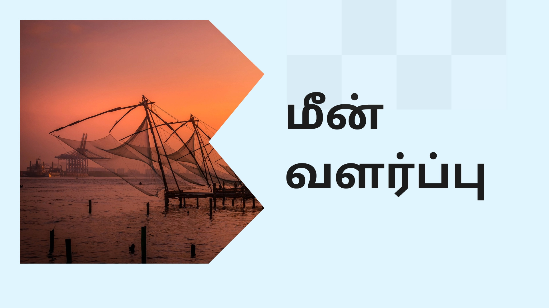 About Fish farming course video