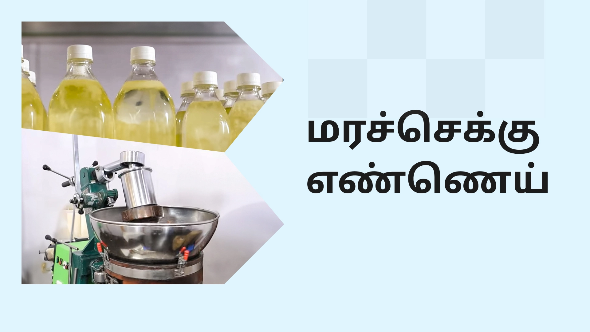 Where can i learn Edible Oil Business Course in In