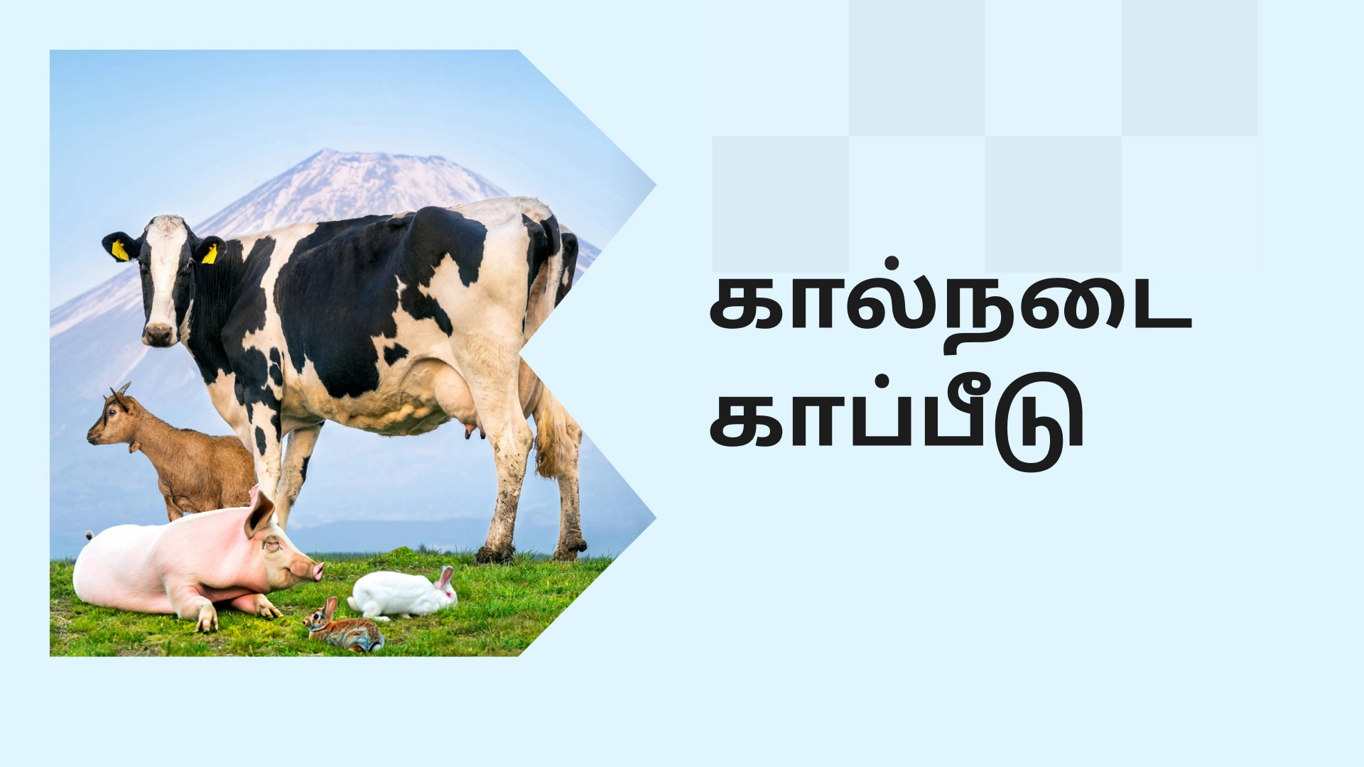 Livestock Insurance Scheme Course Video