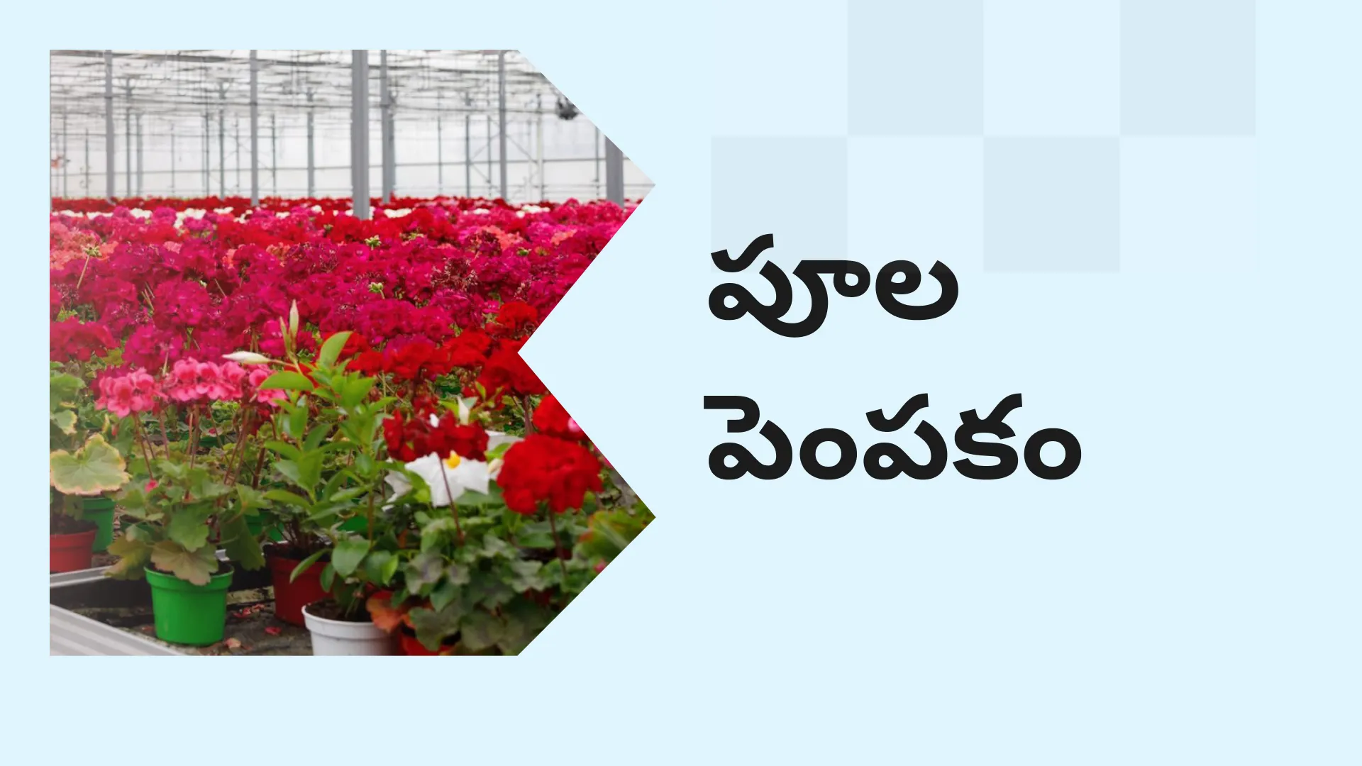 What Is Floriculture?
