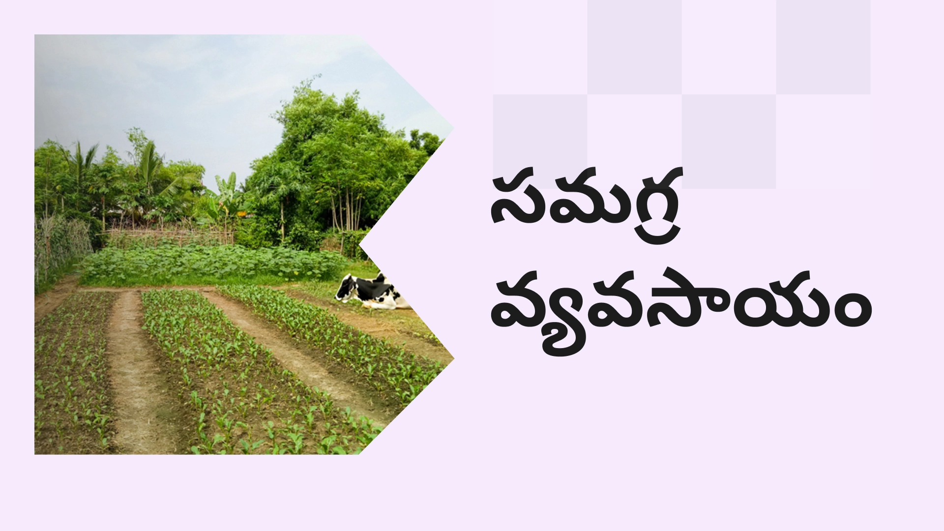 How to do Integrated Farming in India