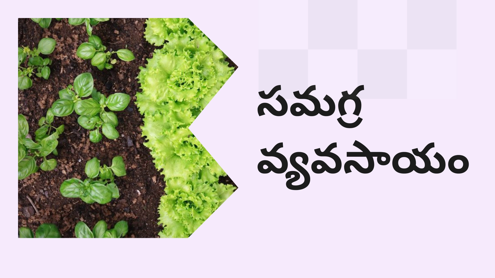 Integrated Farming Course Video