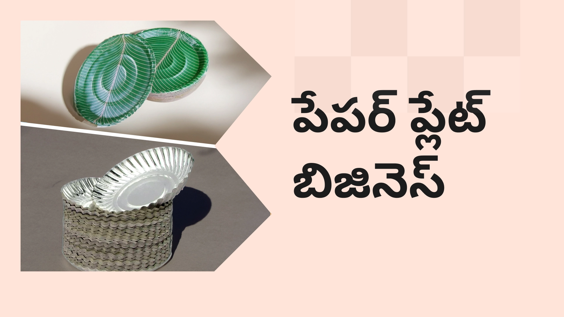 Paper Plate Making Business Course Video