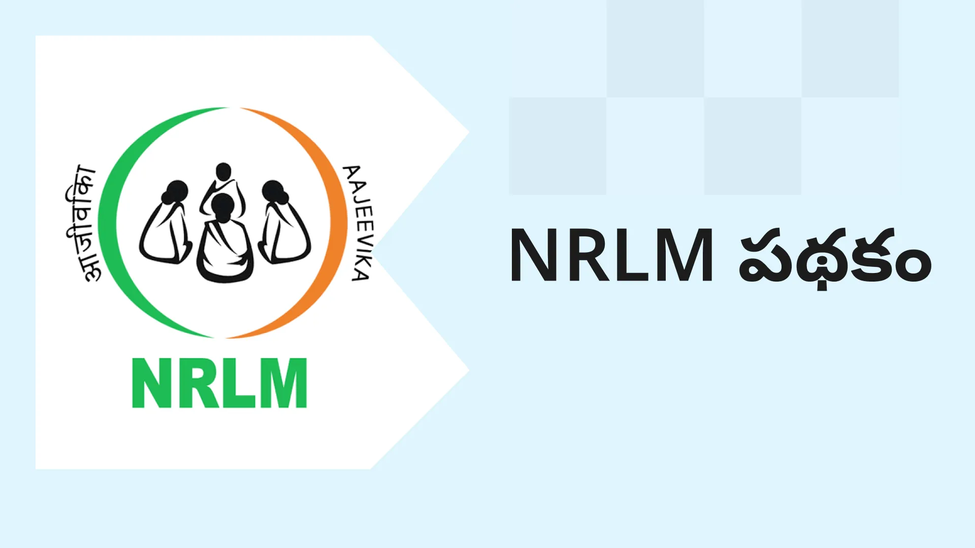 NRLM Scheme by the Government Course Video